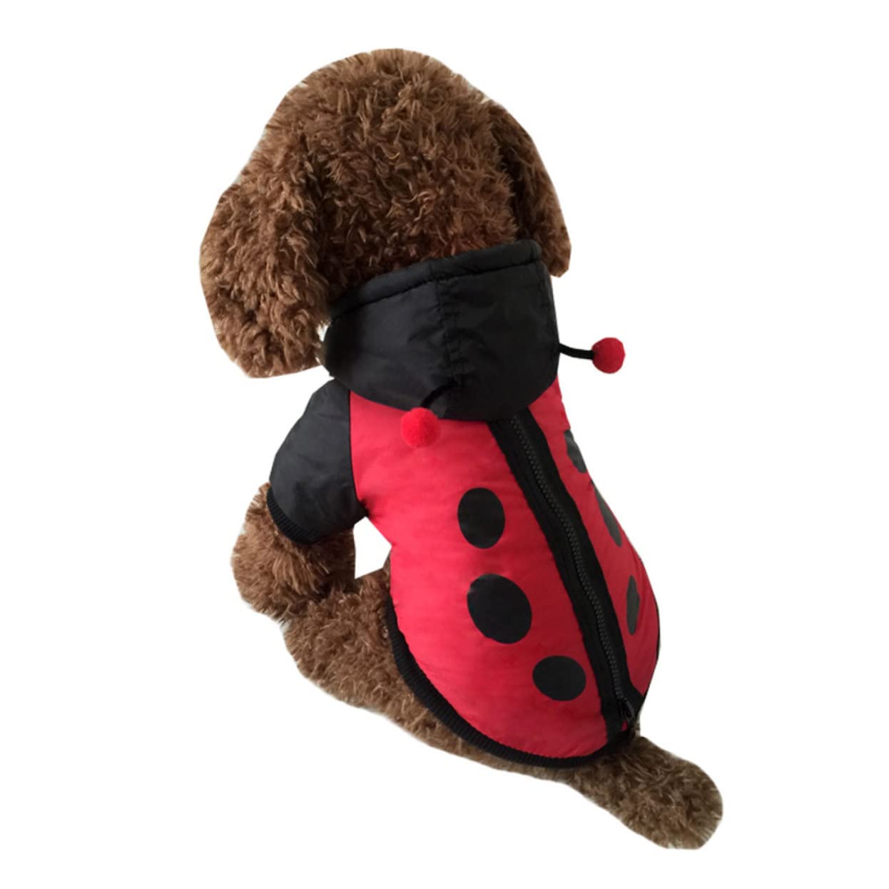 INOOMP 2piezas Disfraz De Halloween para Perros y Gatos Abrigo De Mascota Tipo Mariquita Ropa Cálida y Divertida para Ocasiones Especiales como Navidad y Fotografía Diseño Creativo y