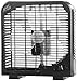 Produktbild Sichler Haushaltsgeräte Mini Ventilator: Kompakter Tischventilator mit 2 Geschwindigkeiten, 28 W, Ø 20 cm (Fan)