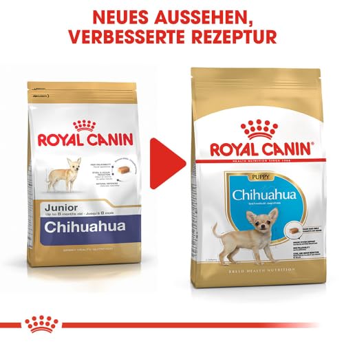 Chihuahua Puppy | Trockenfutter für Welpen | 500 g | Bis zum 8. Monat