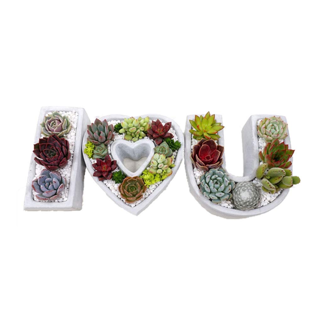 I Love You - Molde de silicona floral para yeso, hormigón, cemento, suculentas, decoración artesanal