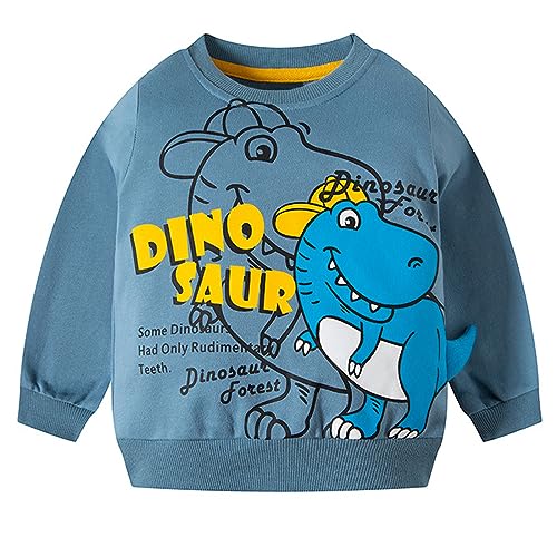 Toddler Boys Dinosaur Sweatshirts Pullover Crewneck Long Sleeve Top T-Rex T-shirt3