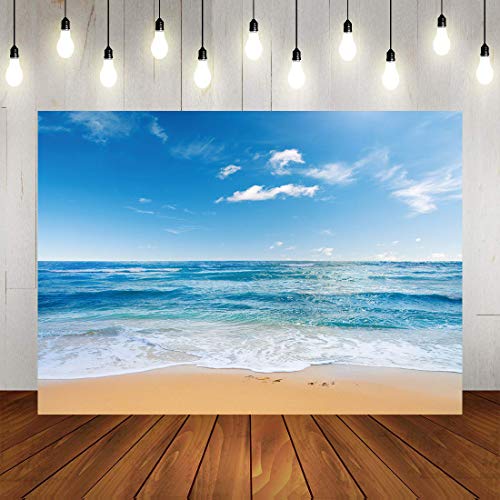 Fondo Fotográfico 5x3ft Tela Poliester Azul miniatura 2