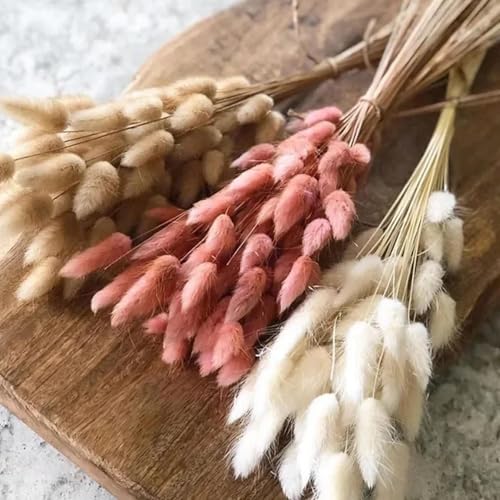 Ramo decorativo de pasto pampas natural 60 piezas miniatura 2