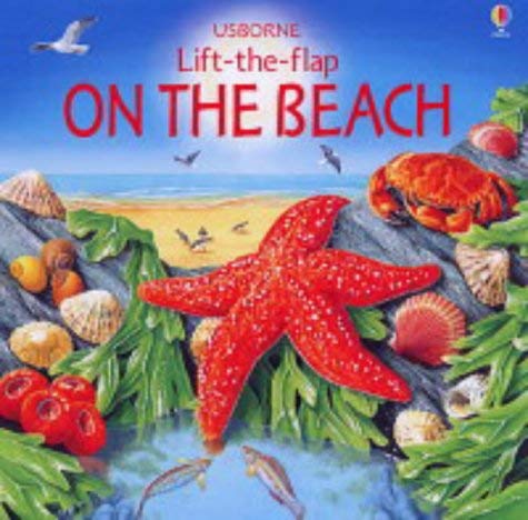 On the Beach (Lift the Flap Learners S.)