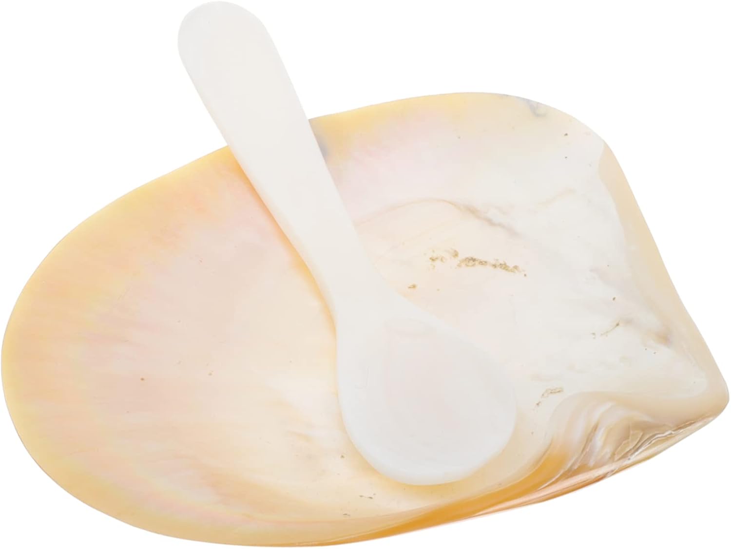 3sets Glossy Shell Adornment Caviar Serving Dish Dish Creative Soap Holder for Beachy Room Decor