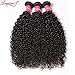 Dinoce Compatible with Longqi Beauty 10A Peruvian Curly Hair 3 Bundles, Remy Human Virgin Jerry Curly Hair Weave 3pcs Set 300g Natural Color (14 16 18 Inches)