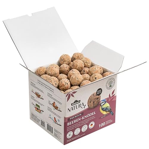 Dehner Natura Premium Meisenknödel ohne Netz, Beerenknödel, ganzjähriges Wildvogelfutter proteinreich / energiereich, 100 Stück je 90 g (9 kg), Karton aus FSC-zertifizierter Produktion