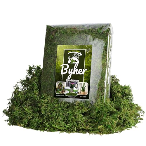 BYHER 32OZ Large Capacity Artificial Moss - Bulk Fake Moss for Plants Indoor, Planter Filler for Artificial Plants, Crafts, Fairy Garden Decor, Potted Plants Indoor Outdoor (2LB Fresh Green)