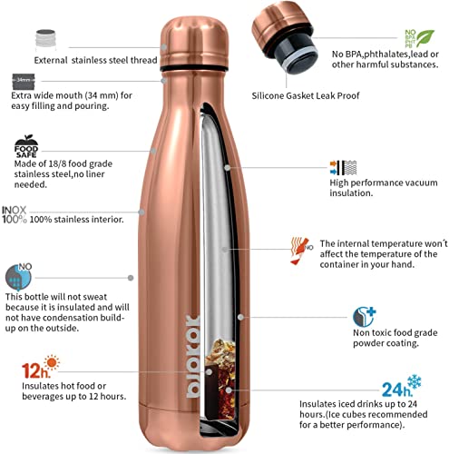 Image of BJPKPK 17 oz Insulated Water Bottle, Stainless Steel Flask, Leak Proof