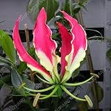 bulbos lilium perfumado Por lo general, tarda alrededor de 1 a 3 semanas en entregarse después de que el artículo se haya enviado. Comprueba el tiempo de entrega antes de realizar la compra.