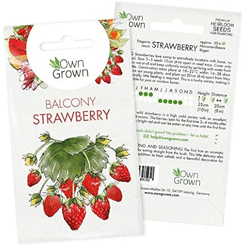 Grow your own Strawberry Plants: Premium Wild Strawberry Seeds for Planting 50 Garden and Balcony Plants - Plant Seeds for Planting tasty Berries - Fruit Seed Pack with Exotic Fruit Seeds by OwnGrown Cover