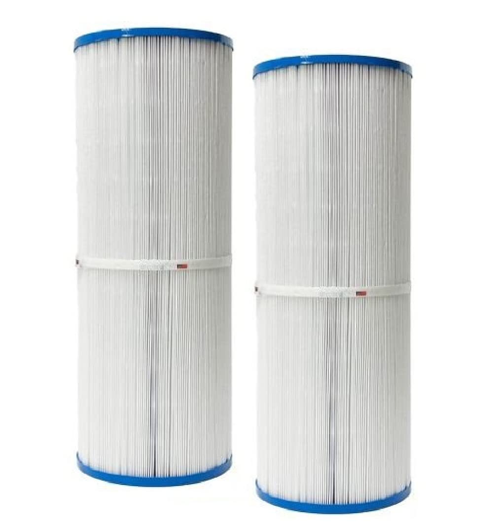DPM Cartridge Replacement for Pentair Dynamic Series IV DFM DFML 35 Pool Filter Pleated 2 Pack Made in USA | Replaces for C-4335 R173431 FC-2385 (35 Sq Ft (9 1/4" Height) DFM35 DFML35)