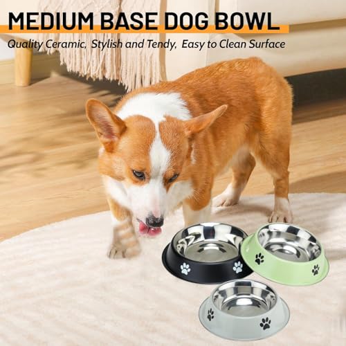 Image of PremiumAV Stainless Steel Dog Bowl 700 ML 2 No. Size with Paw Bone Print - Anti-Skid Food & Water Bowl with Non-Slip Rubber Base for Dogs, Cats, Puppies & Kittens, Durable Metal Feeding Dish 1pc