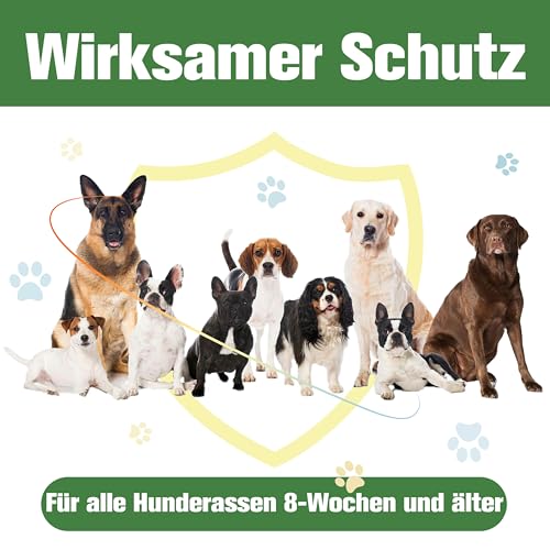 Advanllent Zeckenschutz für Hunde 6 Pipetten, Spot On Hund, Zeckenmittel für Mittlerer Hunde 10 bis 20 kg, Hunde flohmittel entwurmungsmittel für Hunde, gegen Flöhe & Zecken
