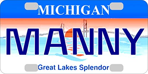 Michigan State Spartans WinCraft Plastic License Plate
