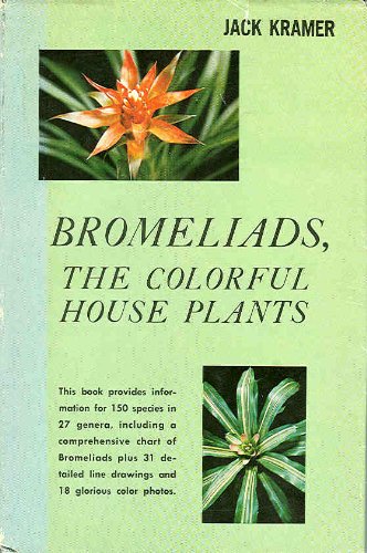 Bromeliads, the Colorful House Plants