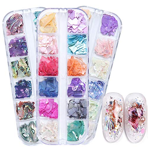 Ocnvlia 3D di Conchiglia Abalone Irregolare