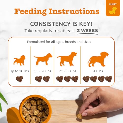 Image of Zesty Paws Puppy Dog Allergy Chews - Dog Allergy Relief, Lamb, 90 Ct