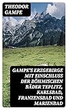 Gampe's Erzgebirge mit Einschluss der böhmischen Bäder Teplitz, Karlsbad, Franzensbad und Marienbad: Ein Reisehandbuch - Theodor Gampe 