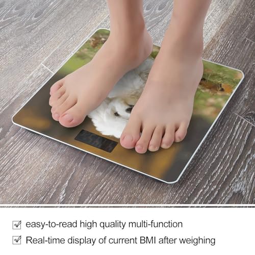 Báscula digital de baño con vidrio templado y pantalla LCD miniatura 5