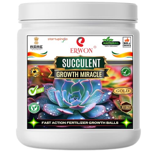 15 Artificial Plant Decorating Ideas 86 Erwonยฎ Succulent GROWTH MIRACLE Fertilizer, Fast Action Organic G...