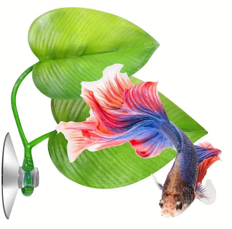 VAYINATO® 1 Pcs Double Leaf Betta Rest Area Plant Pad Simulating The Natural Habitat for Betta Spawning Grounds Breeding Bed | No Harm to Fish By Petzlifeworld (B0CQ2NG9XB) Amazon Price History, Amazon Price Tracker