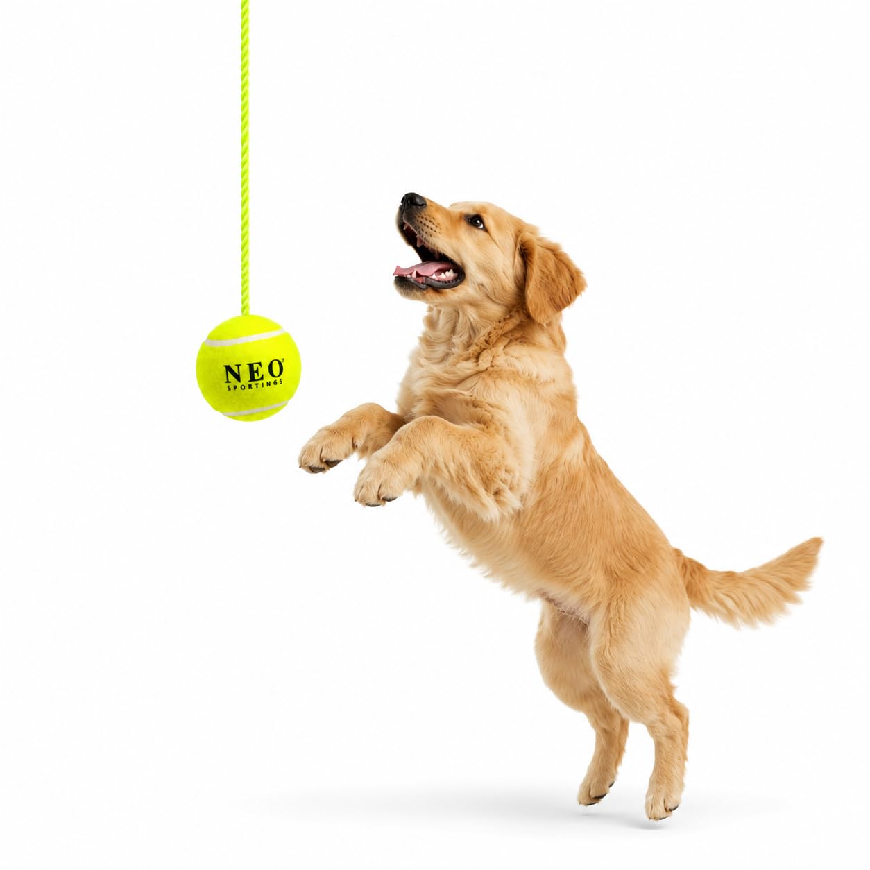 dog hanging tennis ball toy with 3.6m nylon rope | interactive dog training & exercise toy | heavy duty bite & tug toy for small, medium & large dogs | green|pack of 1 | interactive dog training toy durable nylon rope heavy duty tennis ball bite & tug exercise indoor & outdoor use