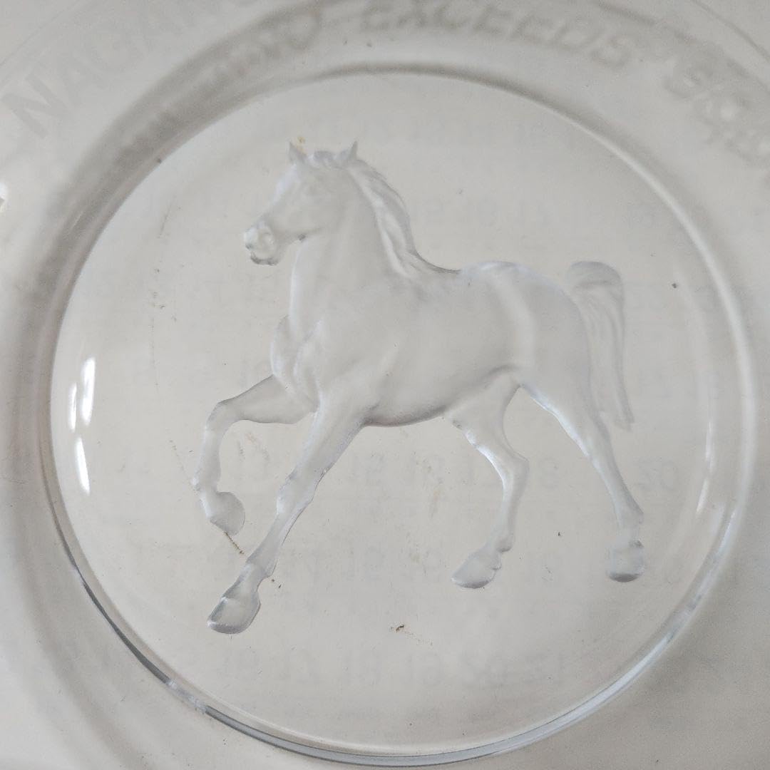 Amazon.co.jp: JAF×HOYA クリスタルガラス 馬 彫刻プレート : ホーム