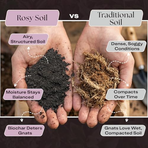 Image of Rosy Soil Seedling Seed Starter Soil Mix, Organic, Peat-Free, 4 Quarts | Worm Castings, Biochar and Mycorrhizae Blend, For Seed Germination, Microgreens, Propagation, Herbs, Vegetables, Flowers
