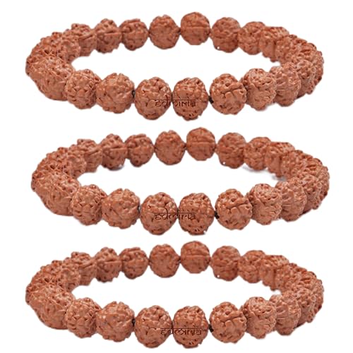 EDMIRIA Bracelet Rudraksha 5 Mukhi Naturels 5 Mukhi Rudraksha Panchmukhi Marron Perles Rondes Méditation Yoga Poignet Mala Extensible pour Homme et Femme, L, Perles de 8 mm, Sans pierre précieuse