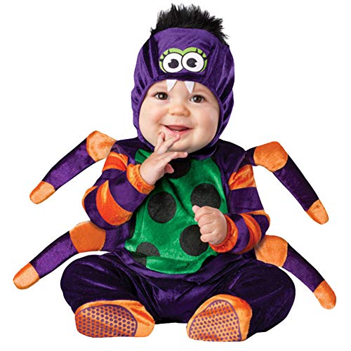 isince thenj RX`[ RXv Jo[I[  QA[g nEB LOBe Q ߑ aLO Ԃ xr[  oYj 킢 p[X  (w, 95CM)