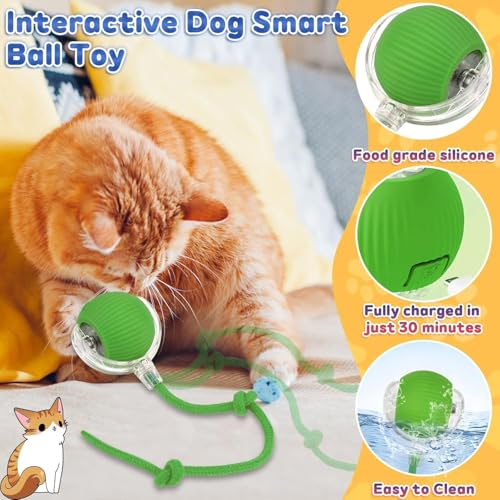DAMIGHT Interaktives Katzenspielzeug, Katzenball Spielzeug Elektrisch, 360° Rolling Intelligentes Katzenspielzeug Wiederaufladbar über USB, Bewegliches Spielball für Katzen und Hunde Innenbereich