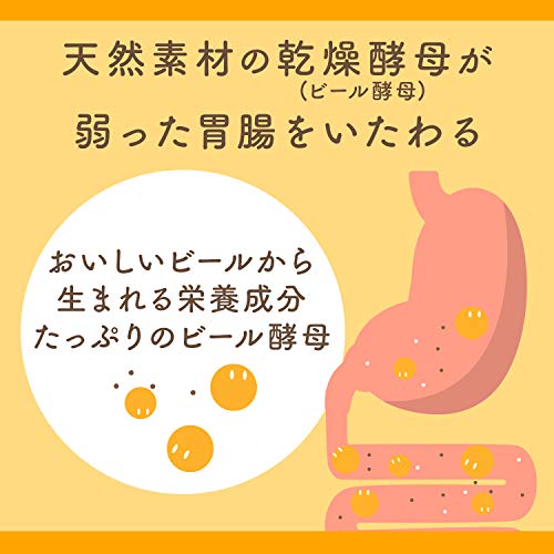 エビオス錠 で低栄養によるフレイルを防ぐ