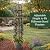 Plow & Hearth Metal Garden Obelisk | Indoor/Outdoor | Powder-Coated Steel | Trellis for Climbing | Floral Pattern | 11" Dia. x 7'H | Bronze