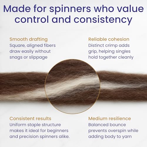 Image of Revolution Fibers Yin Yang Natural Blend of Corriedale Wool Roving (8 Ounces) | Perfect for Felting, Hand Spinning & Tapestry |100% Natural Undyed Off-White & Brown Blend
