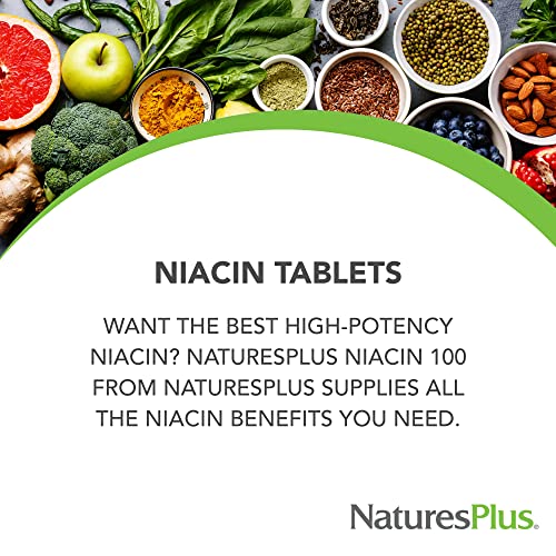 Natures Plus 97467018501 Niacin - 100 Mg, 90 Vegetarian Tablets - High Potency Vitamin B3 Supplement thumb #2
