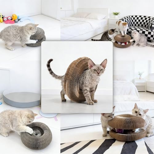 Affiuya Magic Organ Cat Scratcher Toy - 2PCS Set with Code 3RDFER8R - Image 4