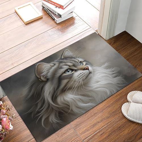 Tapis entree interieur absorbant et paillasson lavable chat - 5