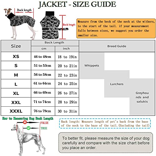 Winterpullover aus Fleece für Whippet Windhunde, warmes Fleece-Futter und verstellbare Bänder, Grau