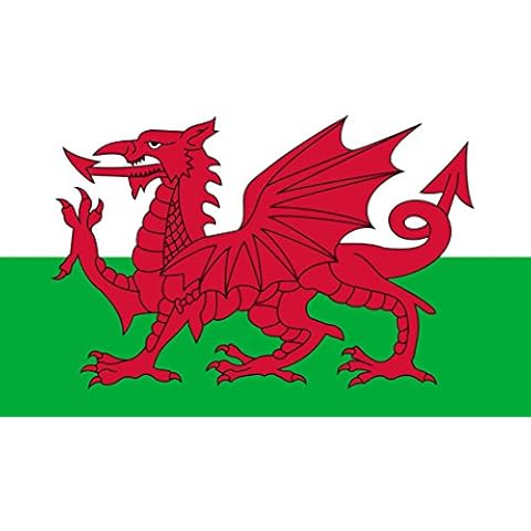 Set of 5 Welsh Flag Iron-On Transfers Cover