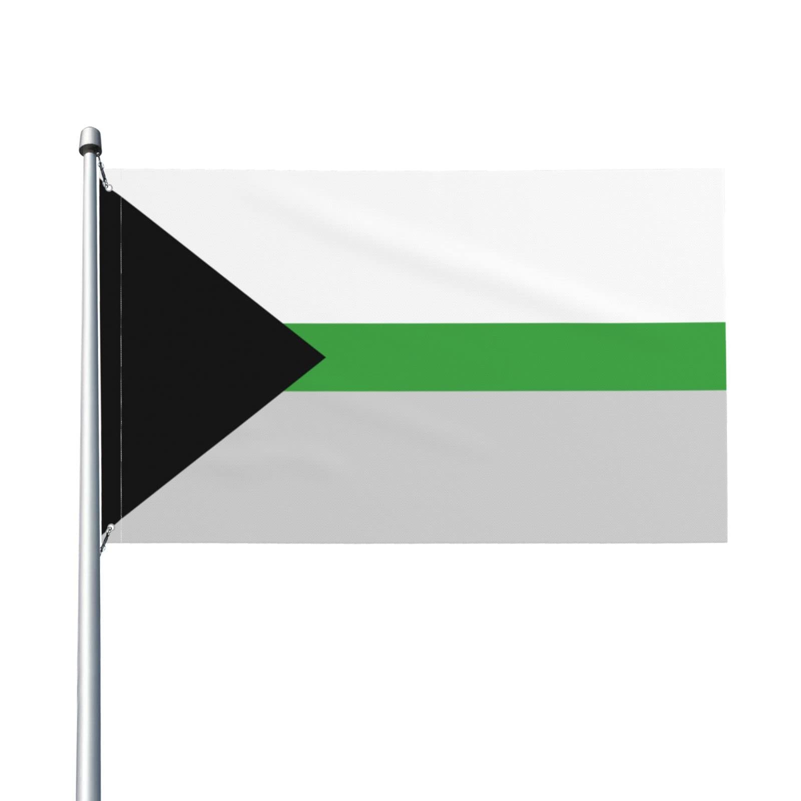 Demiromantic Demi Romantic Pride Flag Welcome Party Outdoor Outside Decorations Picks Home House Garden Yard Decor 3 X 5 Ft Large Flag