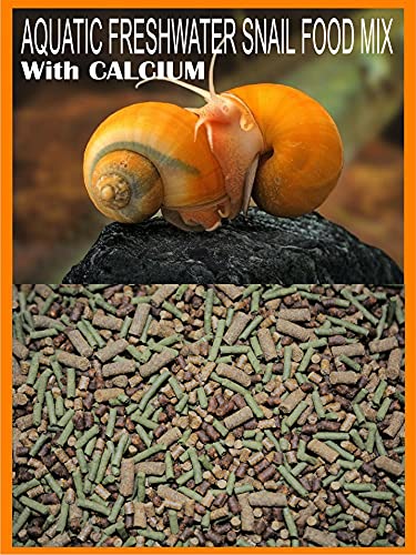 ABF Freshwater Snail Food Mix - Snail,Shrimp,Fish & Crayfish Food (4oz)- ABF1 - Heat Sealed for Freshness