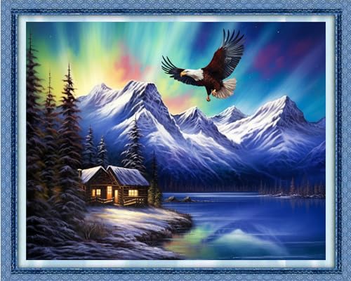 Image of Dooxvey Cross Stitch Kits for Adults Beginners,Full Range of Cross-Stitch Stamped Kits Needlepoint Kits for Beginners Embroidery Kits 11CT Cross Stitch Patterns-Aurora Eagle 16x20 inch