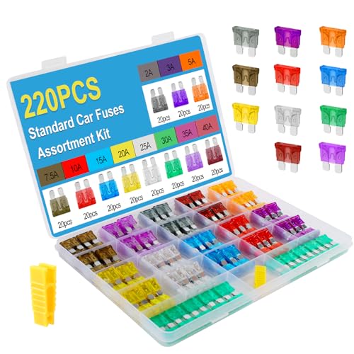 Giwiemi 220Pcs Standard Fuse Kit with 11 Sizes (2A - 40A) - Premium Car Fuses Assortment Kit, Ideal Automotive Fuses for Cars, Trucks & Motorcycles