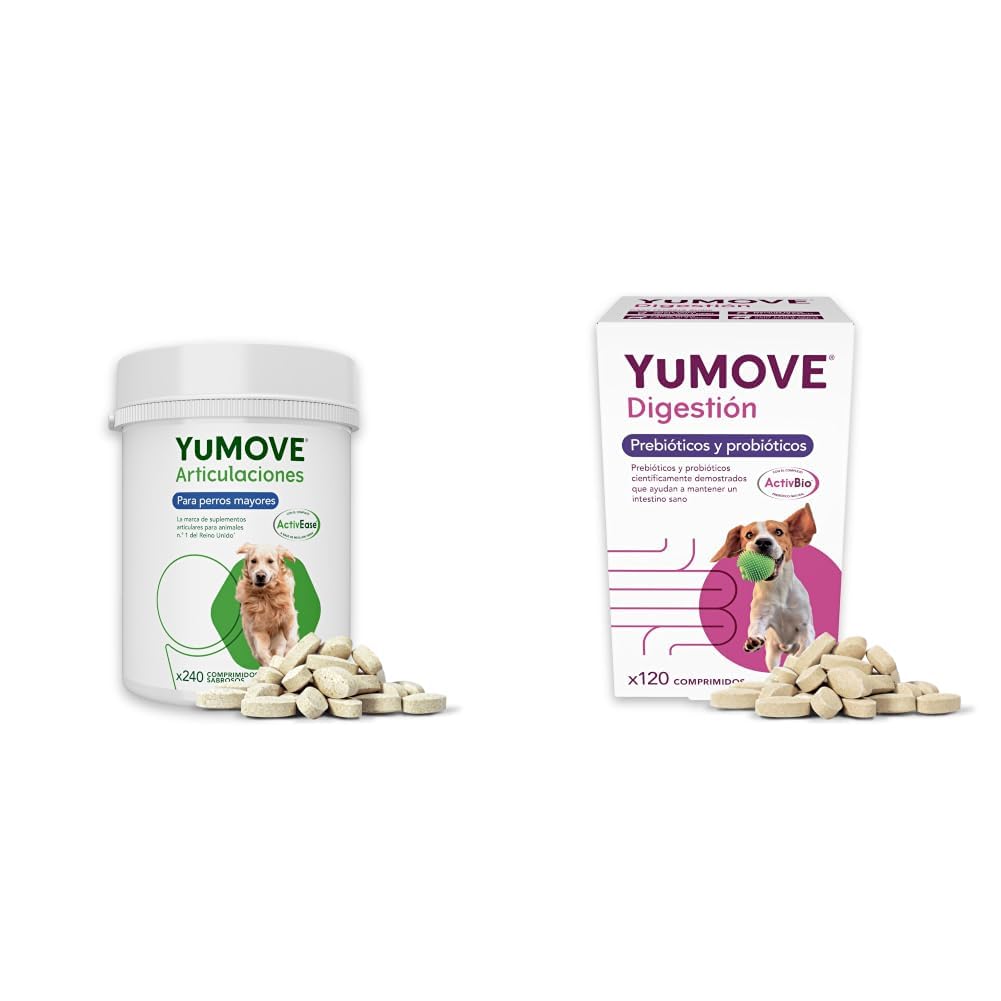YuMOVE Gelenktabletten Hund Senior + Probiotika Kombipack - Pack 240+120 Tabletten - ActivEase Grünlippmuschel Hund & ActivBio - Präbiotika Für Gelenke & Verdauung - Tägliche Senior Routine