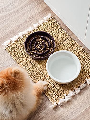 LE TAUCI Hundenapf aus Keramik, Antischlingnapf für Mittelgroße und Kleine Hunde, Langsam Fressen und Spaß für den Hund, Fressnapf mit Rutschfestem Design (Labyrinth Lila, S-350 ml)