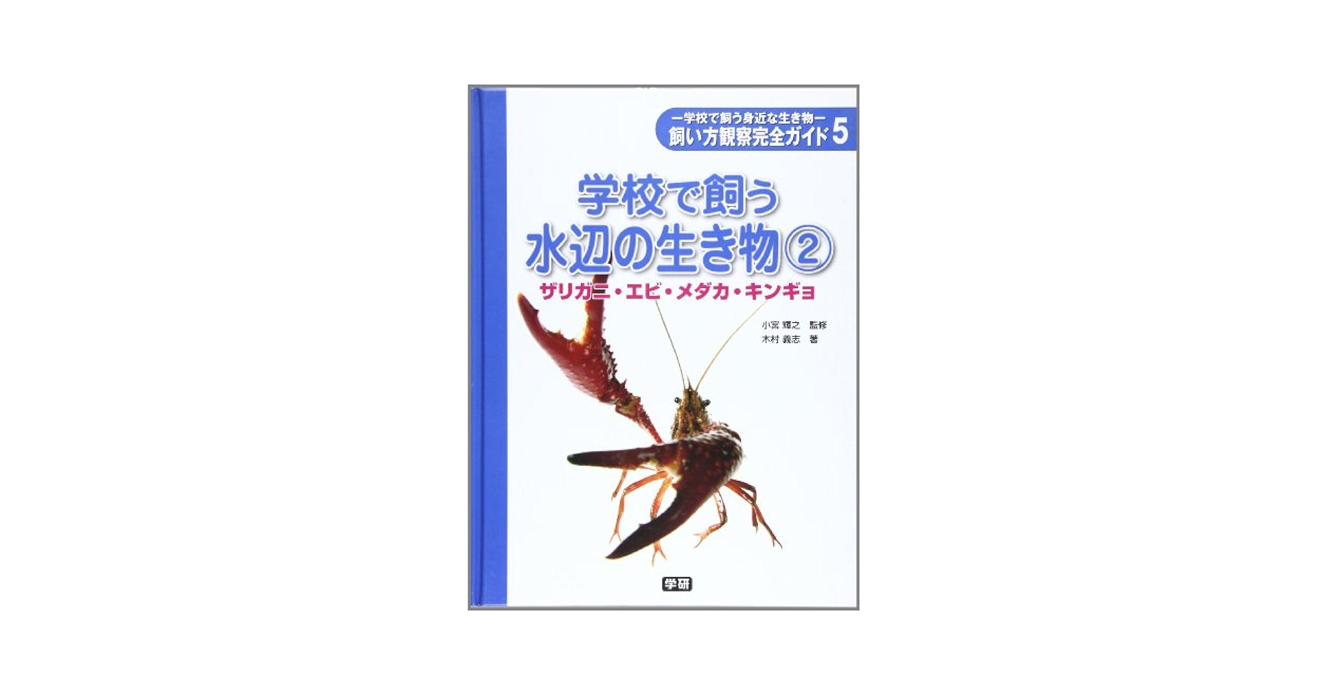 飼い方観察完全ガイド 学校で飼う身近な生き物 ４/Ｇａｋｋｅｎ/木村義志（大型本） 飼い方観察完全ガイド: 学校で飼う身近な生き物 (4) (学校で飼う