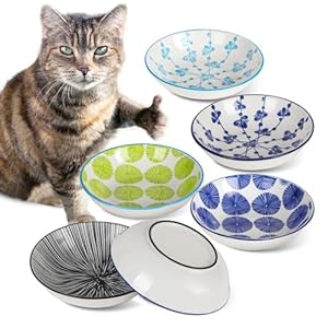 Ceramic Cat Bowls with Non-Slip Silicone Bottom,6 Pack Cat Food Bowl,Anti Whisker Fatigue Cats Dishes for Indoor Cats,Healthy Ceramic Kitten Plates for Daily Feeding Gift Choice (Classic)