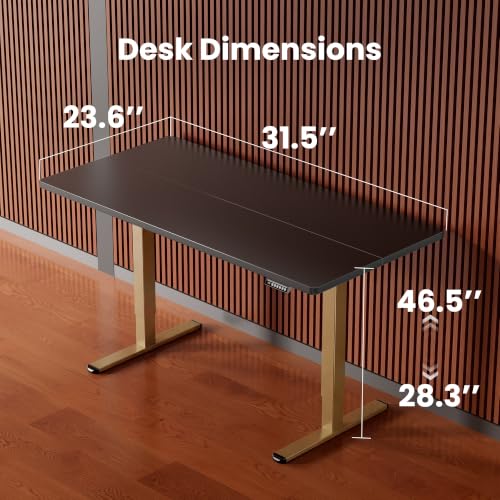 Image of ErGear Height Adjustable Electric Standing Desk, 32 x 19 Inches Sit Stand up Desk, Memory Computer Home Office Desk, Black+Gold