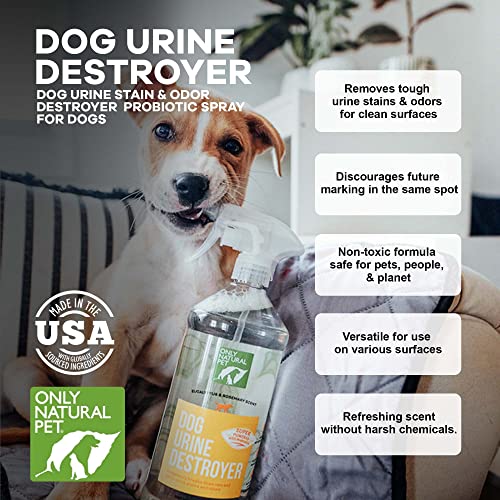 Only Natural Pet R-MC-PLO320 Enzyme Powered Stain & Odor Eliminator - Professional Pet Urine Pee Cleaner Deodorizer For Dogs - Hardwood Floors Carpets Upholstery thumb #2